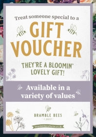 Branded Gift Vouchers