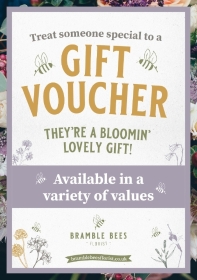 Gift Vouchers